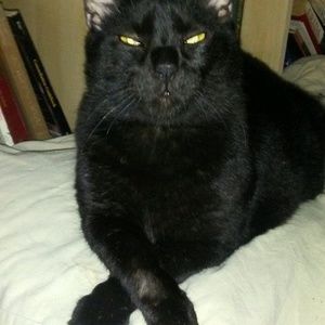 Meet your Posher, Joseph